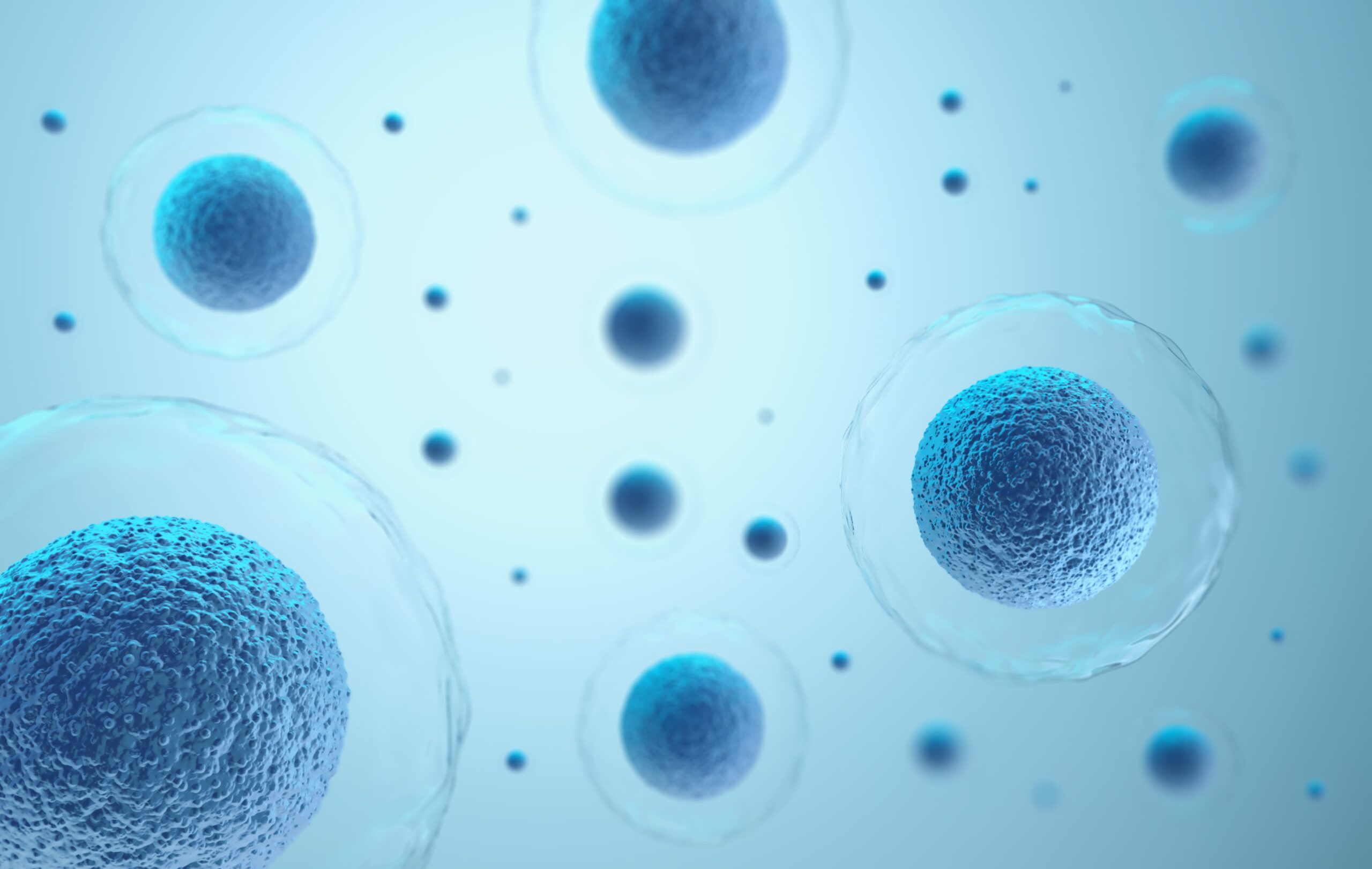 幹細胞培養上清液には何が入っているの？